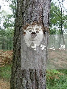 网贷逾期起诉立案期限 网贷逾期起诉立案期限
