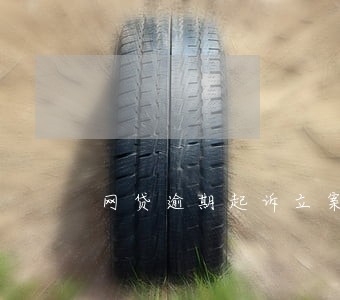 网贷逾期起诉立案流程 网贷逾期起诉立案流程