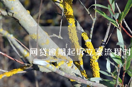网贷逾期起诉立案流程时间 网贷逾期起诉立案流程时间