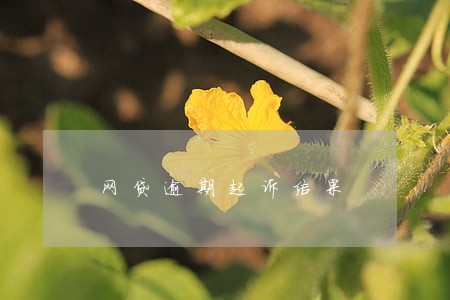 网贷逾期起诉结果 网贷逾期起诉结果