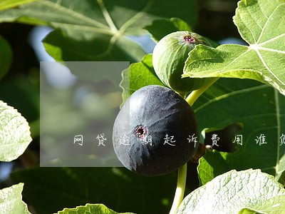 网贷逾期起诉费用谁负责 网贷逾期起诉费用谁负责