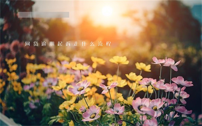 网贷逾期起诉走什么流程 网贷逾期起诉走什么流程