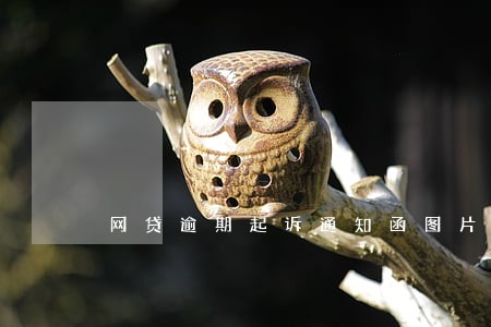 网贷逾期起诉通知函图片 网贷逾期起诉通知函图片