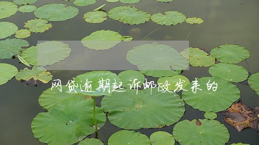 网贷逾期起诉邮政发来的 网贷逾期起诉邮政发来的