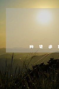 网贷逾期起诉银行卡被冻结 网贷逾期起诉银行卡被冻结