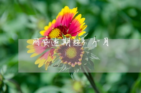 网贷逾期超3个月 网贷逾期超3个月