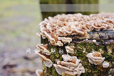网贷逾期超90天会怎么样 网贷逾期超90天会怎么样