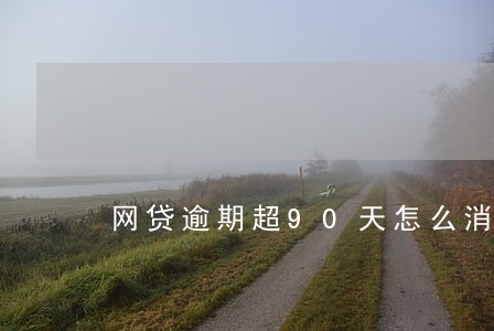 网贷逾期超90天怎么消除