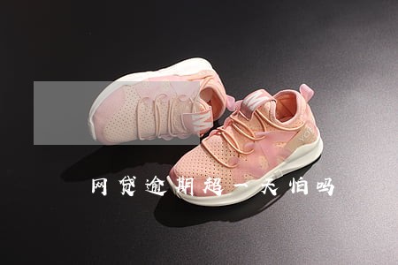 网贷逾期超一天怕吗 网贷逾期超一天怕吗