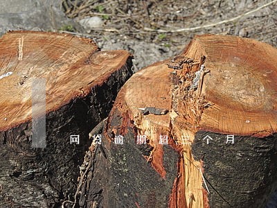 网贷逾期超三个月 网贷逾期超三个月