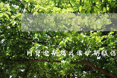 网贷逾期超出保护期短信 网贷逾期超出保护期短信