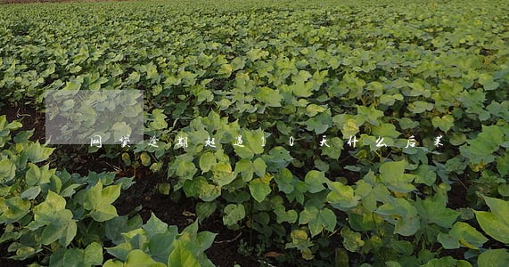 网贷逾期超过10天什么后果 网贷逾期超过10天什么后果