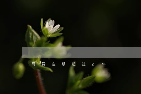 网贷逾期超过2年 网贷逾期超过2年