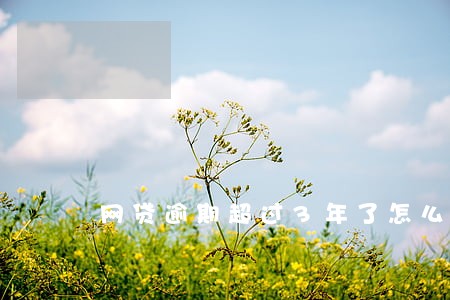 网贷逾期超过3年了怎么办 网贷逾期超过3年了怎么办
