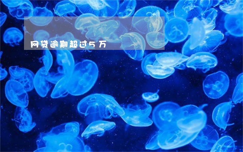 网贷逾期超过5万 网贷逾期超过5万