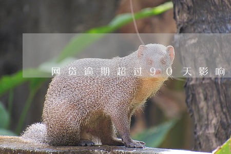 网贷逾期超过90天影响政审吗 网贷逾期超过90天影响政审吗