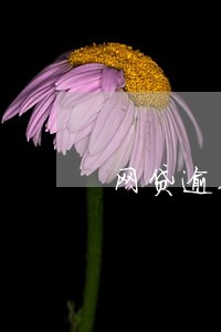 网贷逾期超过一年会催收 网贷逾期超过一年会催收