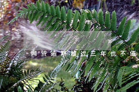 网贷逾期超过三年也不催收了 网贷逾期超过三年也不催收了