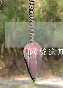 网贷逾期超过三年未还会怎么样 网贷逾期超过三年未还会怎么样