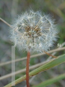 网贷逾期超过三年的 网贷逾期超过三年的