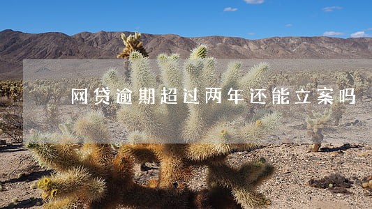 网贷逾期超过两年还能立案吗 网贷逾期超过两年还能立案吗