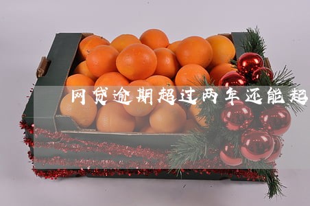 网贷逾期超过两年还能起诉吗 网贷逾期超过两年还能起诉吗