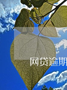 网贷逾期超过多少天算黑户 网贷逾期超过多少天算黑户
