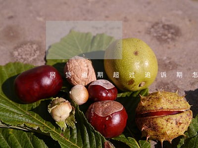 网贷逾期超过追诉期怎么算 网贷逾期超过追诉期怎么算