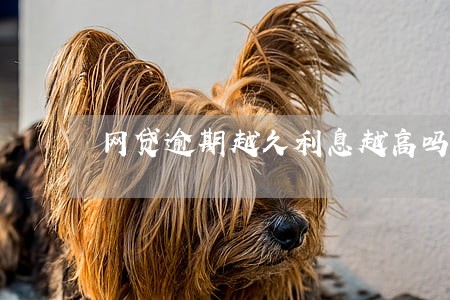 网贷逾期越久利息越高吗 网贷逾期越久利息越高吗