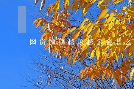 网贷逾期越滚越多会怎么样 网贷逾期越滚越多会怎么样