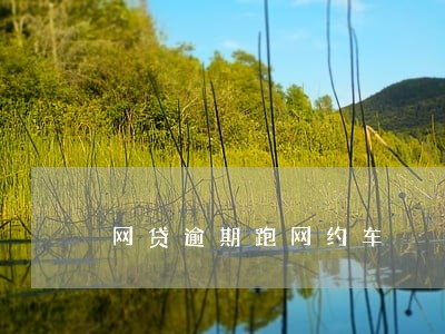 网贷逾期跑网约车 网贷逾期跑网约车