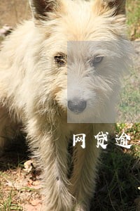网贷逾期跟信用卡有关