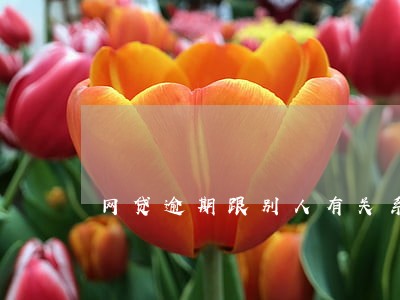 网贷逾期跟别人有关系吗 网贷逾期跟别人有关系吗