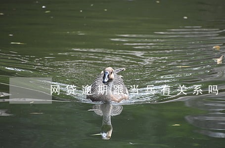 网贷逾期跟当兵有关系吗
