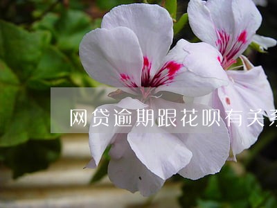 网贷逾期跟花呗有关系嘛 网贷逾期跟花呗有关系嘛