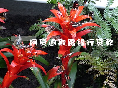 网贷逾期跟银行贷款 网贷逾期跟银行贷款