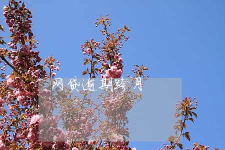 网贷逾期跨月 网贷逾期跨月