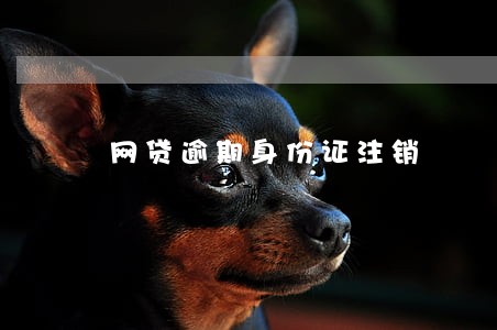 网贷逾期身份证注销 网贷逾期身份证注销