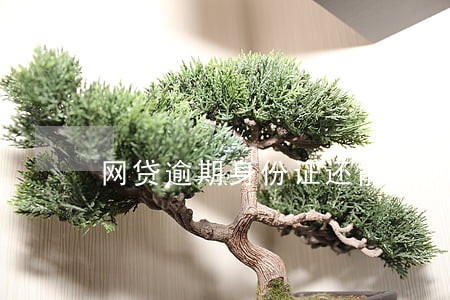 网贷逾期身份证还能用吗 网贷逾期身份证还能用吗