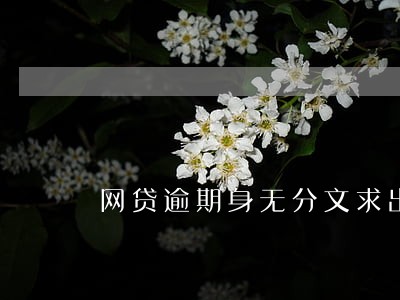 网贷逾期身无分文求出路 网贷逾期身无分文求出路