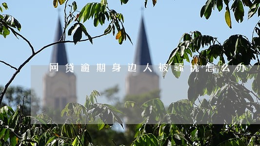网贷逾期身边人被骚扰怎么办 网贷逾期身边人被骚扰怎么办