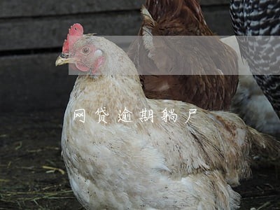 网贷逾期躺尸 网贷逾期躺尸
