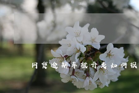 网贷逾期车被开走如何报案 网贷逾期车被开走如何报案