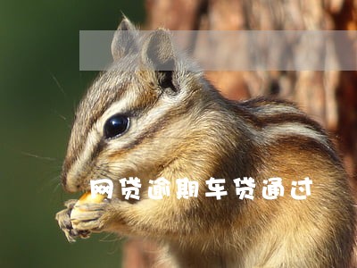 网贷逾期车贷通过 网贷逾期车贷通过