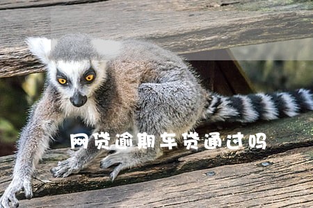 网贷逾期车贷通过吗 网贷逾期车贷通过吗