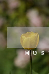 网贷逾期车贷银行会批吗 网贷逾期车贷银行会批吗
