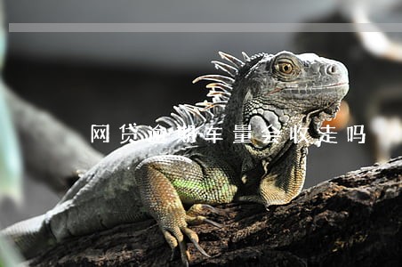 网贷逾期车量会收走吗 网贷逾期车量会收走吗