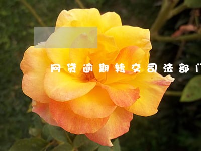 网贷逾期转交司法部门通知村委