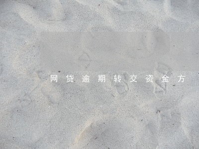 网贷逾期转交资金方 网贷逾期转交资金方