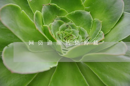 网贷逾期转债仲裁 网贷逾期转债仲裁